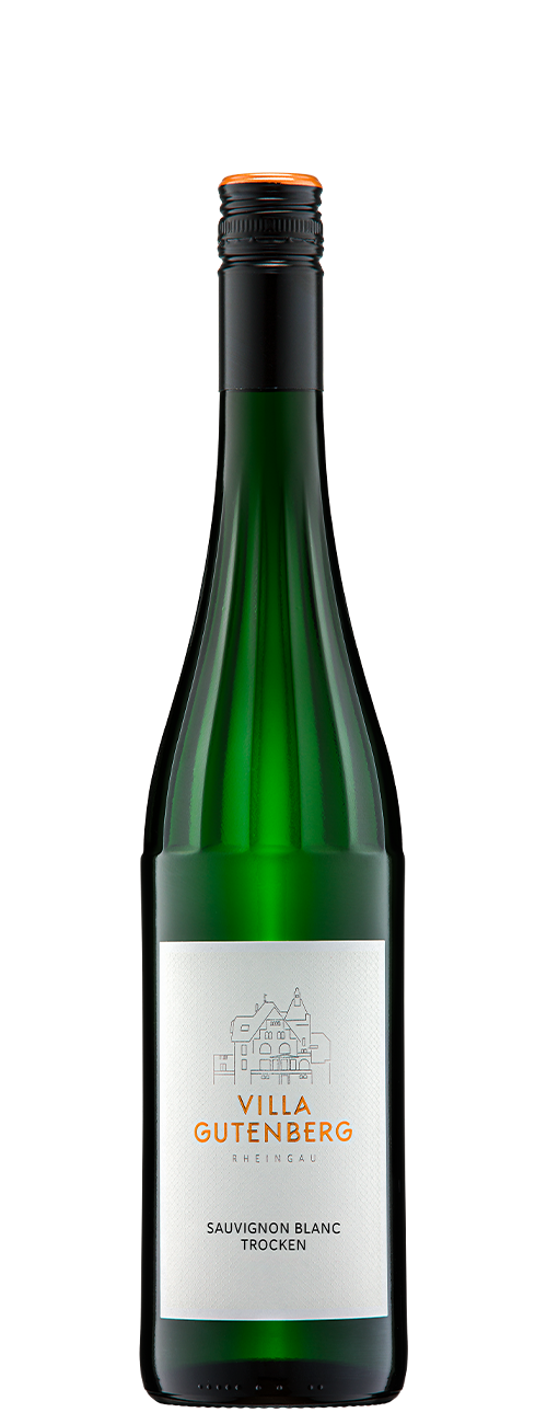 Abbildung des Produktes: Rheingau Sauvignon Blanc Qualitätswein Trocken 2024 - 120-2024